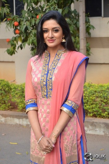 Vimala-Raman-At-Om-Namo-Venkatesaya-Movie-Press-Meet